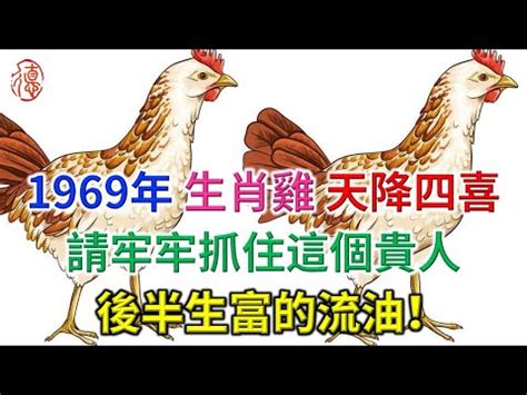 1969屬雞2024運勢|1969年属鸡人2024年运势及运程男，69年55岁生肖。